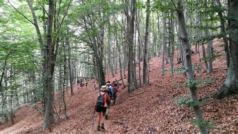 NAVARRA CON NIÑOS. Paseos para。